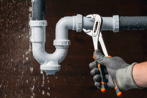 Professional Leak Detection technician working in Holcomb, IL